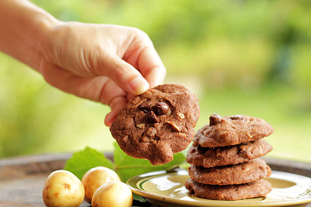 istock Hand holding brown cookies 515770715
