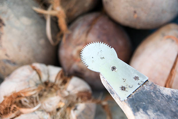 istock coconut grater on coconut bunch background 515771773