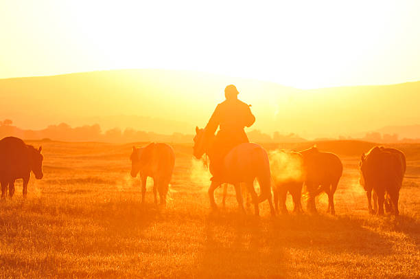 istock Morning of The Ulan integration grassland 515773077