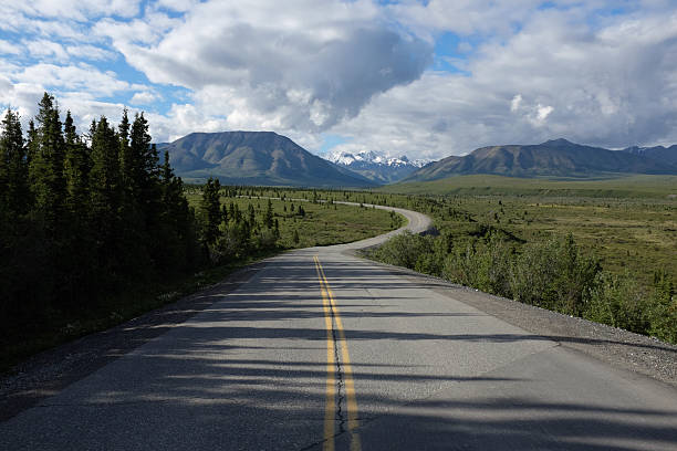 istock Road in Denali National Park 515773511