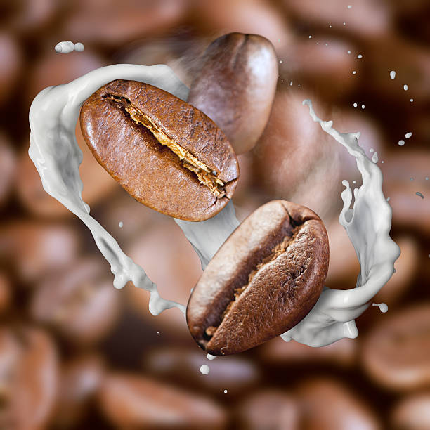 istock Falling roasted coffee beans with steam and milk 515774853