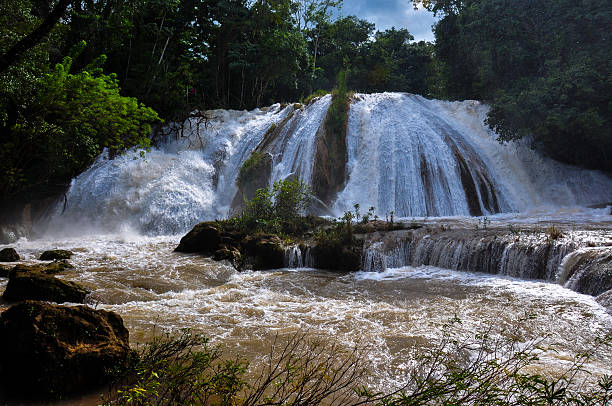 istock Agua Azul, Chiapas, Mexico 515776105