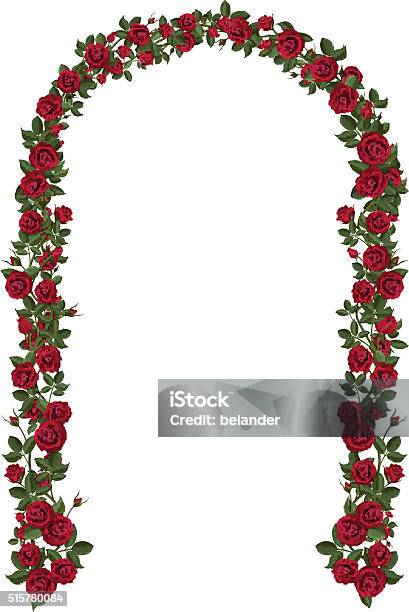 Arch Of Red Climbing Roses Stock Illustration - Download Image Now - Arch - Architectural Feature, Natural Arch, Flower