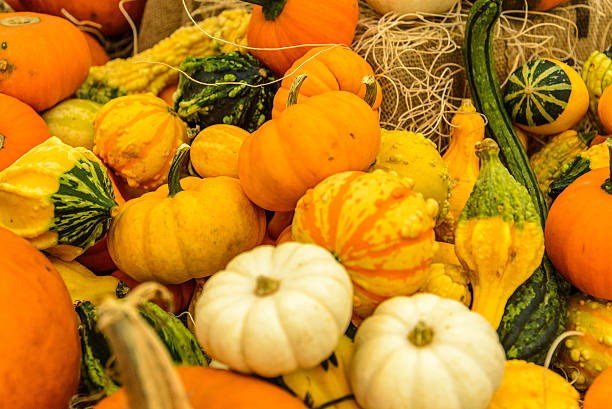 istock pile of pumkins 515780687