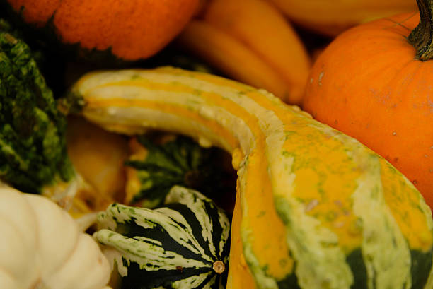 istock pile of pumkins 515780773