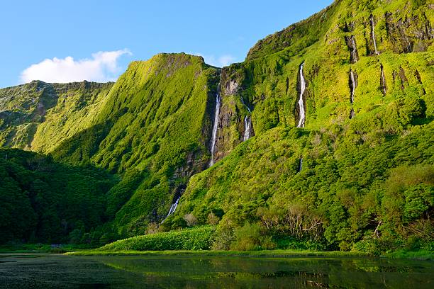 Poço da Alagoinha, Azores, Portugal View of the majestic Poço da Alagoinha, Flores island, Azores, Portugal acores stock pictures, royalty-free photos & images