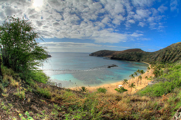 istock Hanauma Bay, Hawaii 515782167
