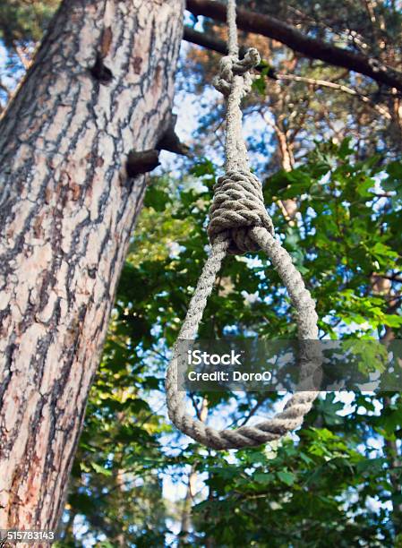 Gallows On A Tree Stock Photo - Download Image Now - Abstract, Blue, Equipment