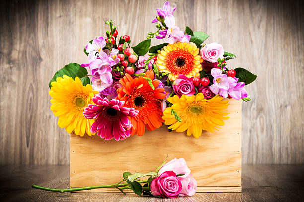 flores na caixa - bouquet tulip greeting card gerbera daisy imagens e fotografias de stock