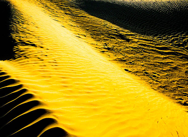 istock Golden road through Sahara desert 515784782