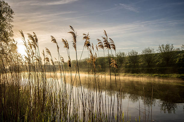 sun rising over water и пейзаж в голландии - hellevoetsluis стоковые фото и изображения