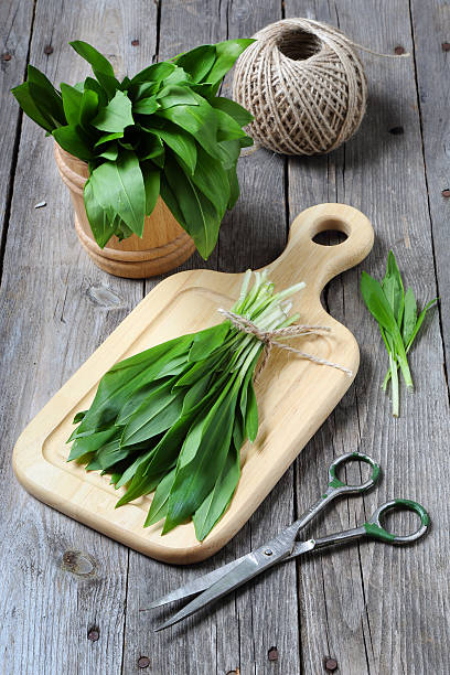 alho-de-urso ou selvagem alho numa tábua de corte - herbal medicine nature ramson garlic imagens e fotografias de stock