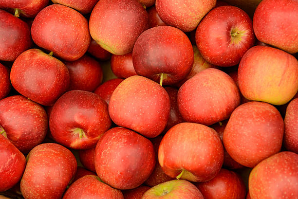 istock fresh market fruits and vegetables 515786875
