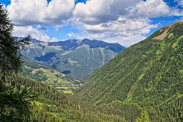 Trentino - Pejo valley stock photo