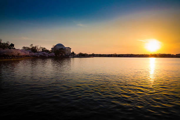 istock Cherry Blossom Sunset at Jefferson Memorial 515787407