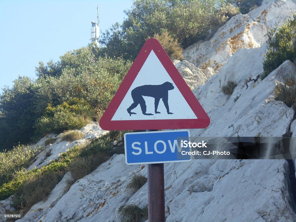 Monkey Bad Sign Monkey Warning Stock Photo - Download Image Now - Monkey, Car, Crossing ...