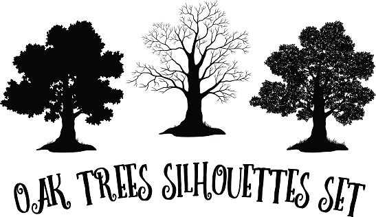 Set of Oak and Grass Silhouettes, Trees Without Leaves and Crowns Versions with Different Study of Details. Vector
