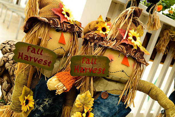 istock scarecrows with flowers and hay 515807747