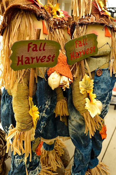 istock scarecrows with flowers and hay 515807803