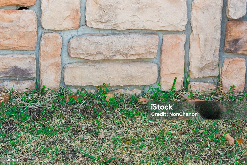 Old stone brick wall texture background. Old stone brick wall texture against creeping plant and grass. Antique Stock Photo