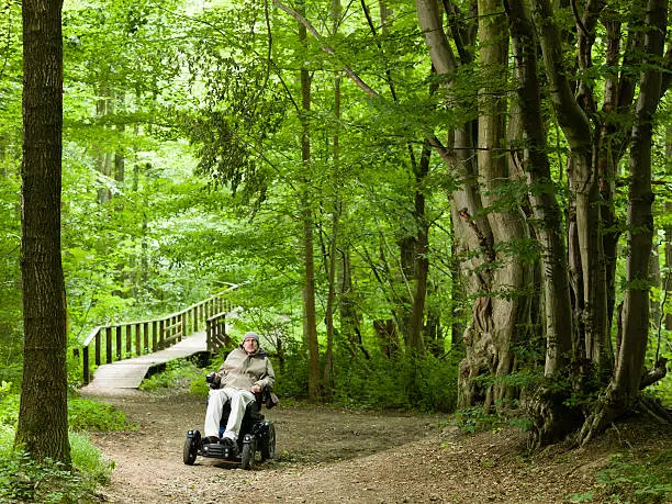 Photo of man exploring a forrest in a motorized wheelchair