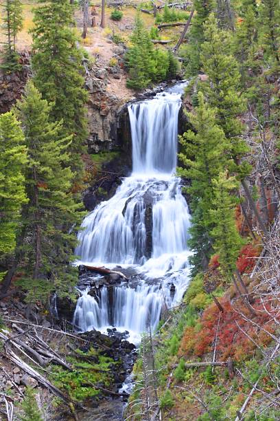 istock Undine Falls in Yellowstone 515809241