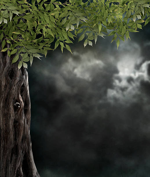 istock Fabulous night scenery, ancient trees, the bright moon 515809991