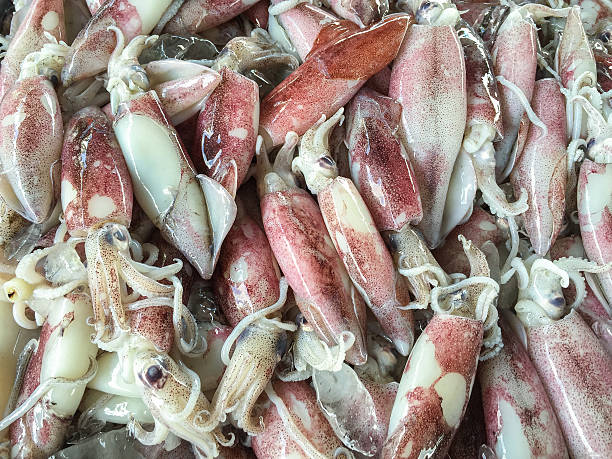 istock Closeup fresh squid on the market 515811116