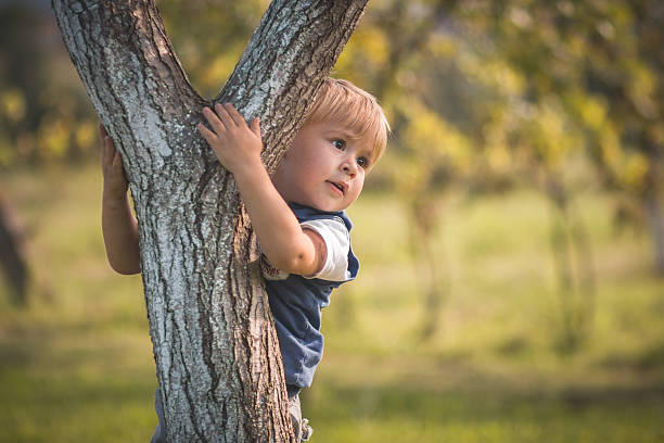 istock Toddler Hanging To A Tree 515811383