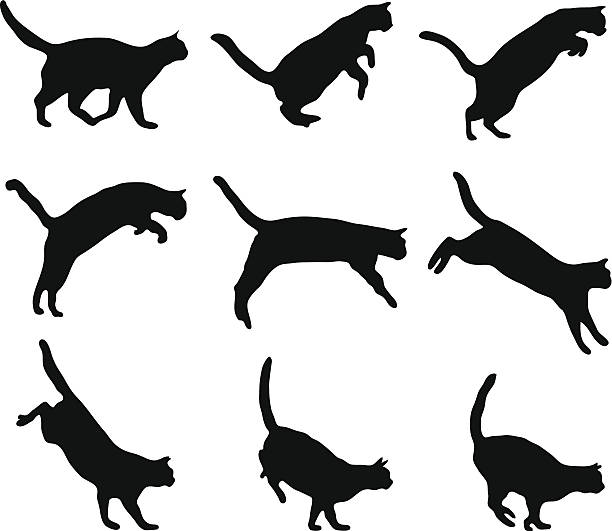 Cat Jumping Stock Illustration - Download Image Now - Domestic Cat,  Jumping, In Silhouette - iStock