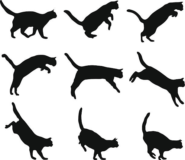 Cat jumping Cat jumping silhouette jumping stock illustrations