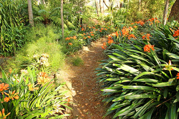 Garden path