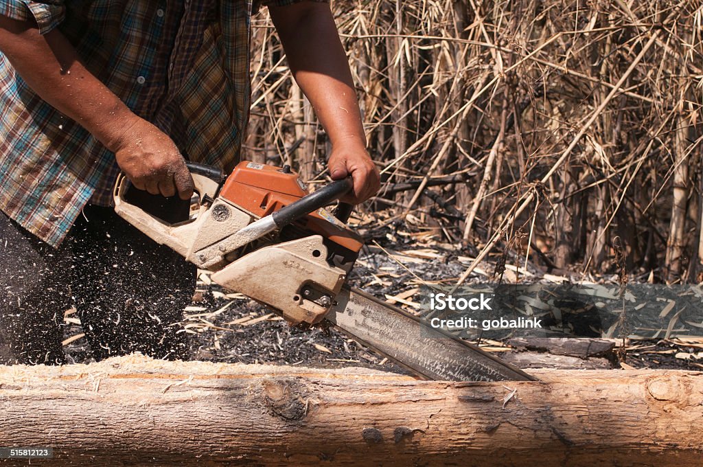 Chainsaw The worker trimming wood with chainsaw Activity Stock Photo