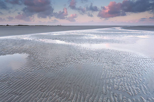 istock low tide on North sea beach 515812677