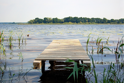 jetty on a lake with reed and forests. Brandenburg, Germany.