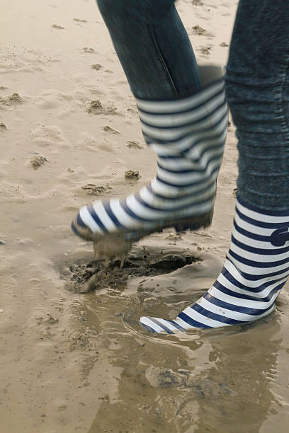wade davis - sea beach mud flat mud stock-fotos und bilder