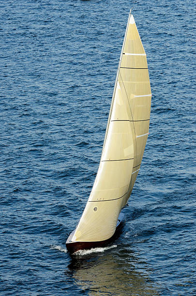 istock sailing boat in the sea 515814707