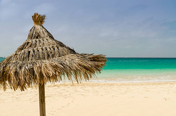 istock beach umbrella with the sea in background 515815112