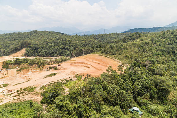 istock Aerial view of tropical jungle clearing for development 515825270