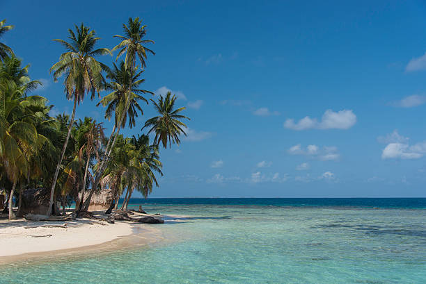 istock Paradise on a tropical island 515827576