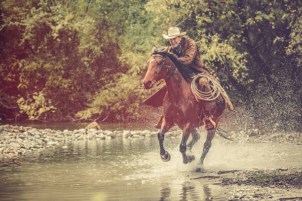 vaqueiro andando em um rio na floresta - horseback riding cowboy riding recreational pursuit - fotografias e filmes do acervo