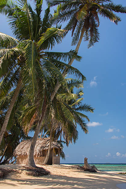 istock Paradise on a tropical island 515827706