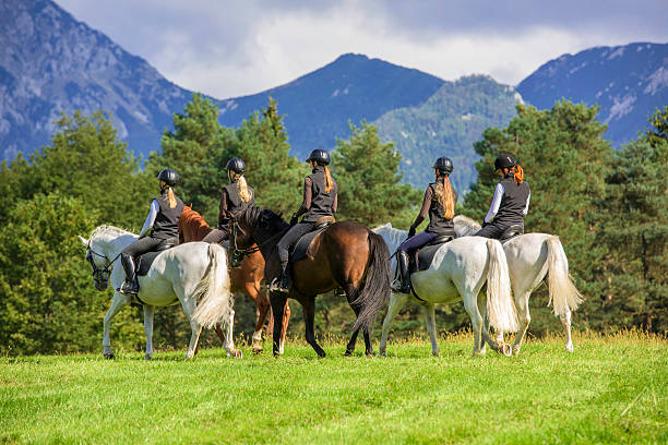 Horse rider silhouettes at sunrise