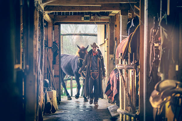 istock Cowboy with horse entering the barn 515828736