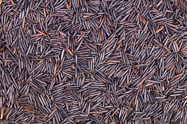 istock Closeup of wild rice 515830602