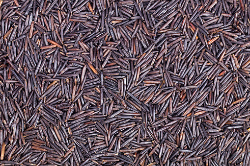Background from a closeup of wild rice