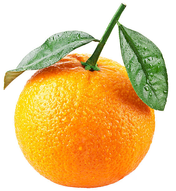 istock Tangerine with leaves. 515830688