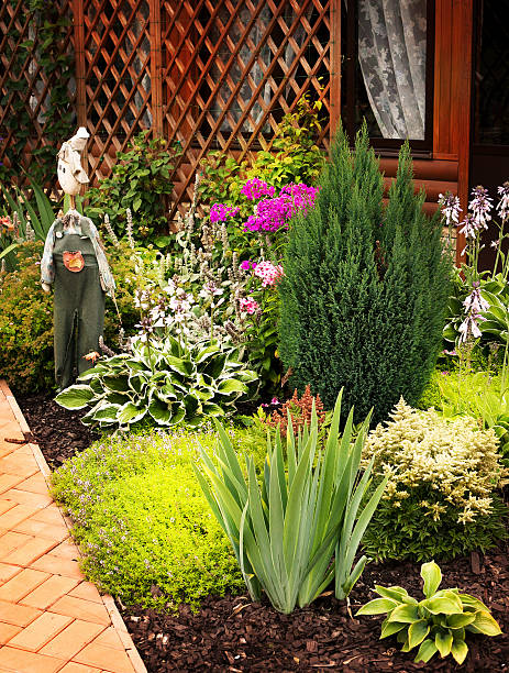 istock Beautiful garden house 515831238