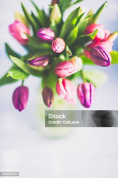 Tulip Bouquet In Simple Jar For Mothers Day Stock Photo - Download Image Now - Above, Beauty In Nature, Bouquet