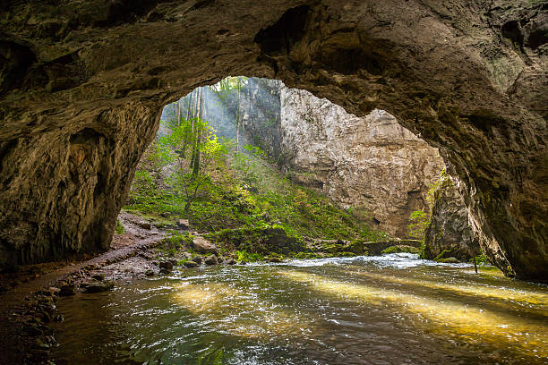 istock Natural tunnel in Rakov Skocjan Valley 515836106